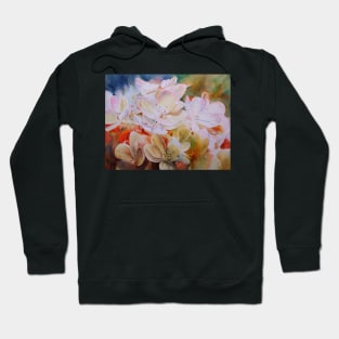 Summers End Hoodie